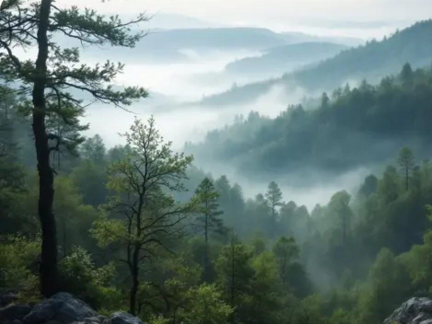 Trailline design detail